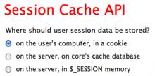 Session Cache API: selection of storage mechanism